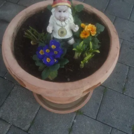 Auf Der Wolke Homestay Kappel-Grafenhausen